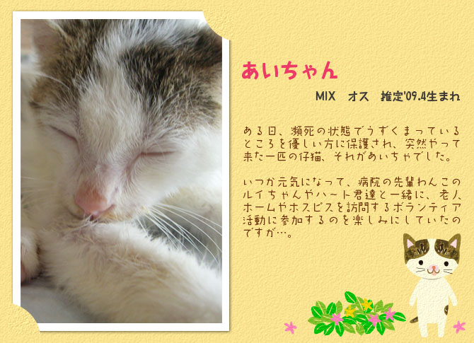あいちゃん