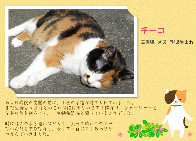 チーコ