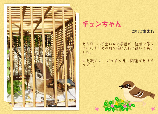 チュンちゃん