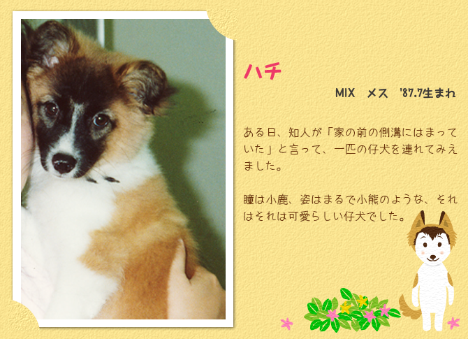 ハチ