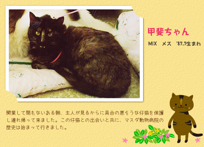 甲斐ちゃん
