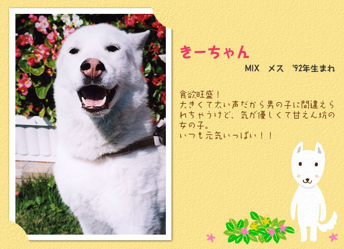 きーちゃん