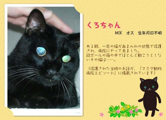 くろちゃん