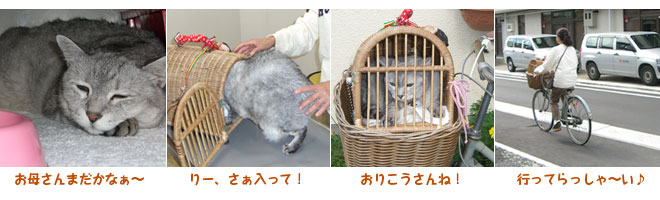 リーちゃん