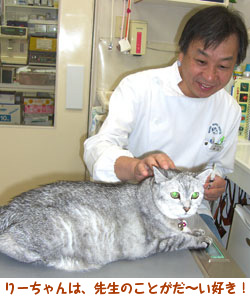 リーちゃん