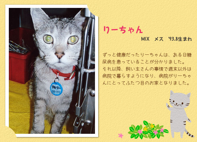 りーちゃん