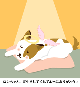 ロンちゃん
