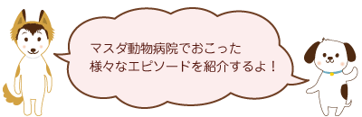 エピソードを紹介するよ