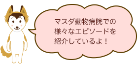 エピソードを紹介するよ