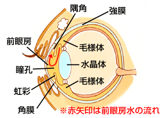 圧 と 眼 どうなる 高い が